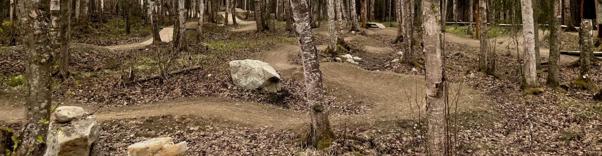 Chugach Mountain Bike Riders